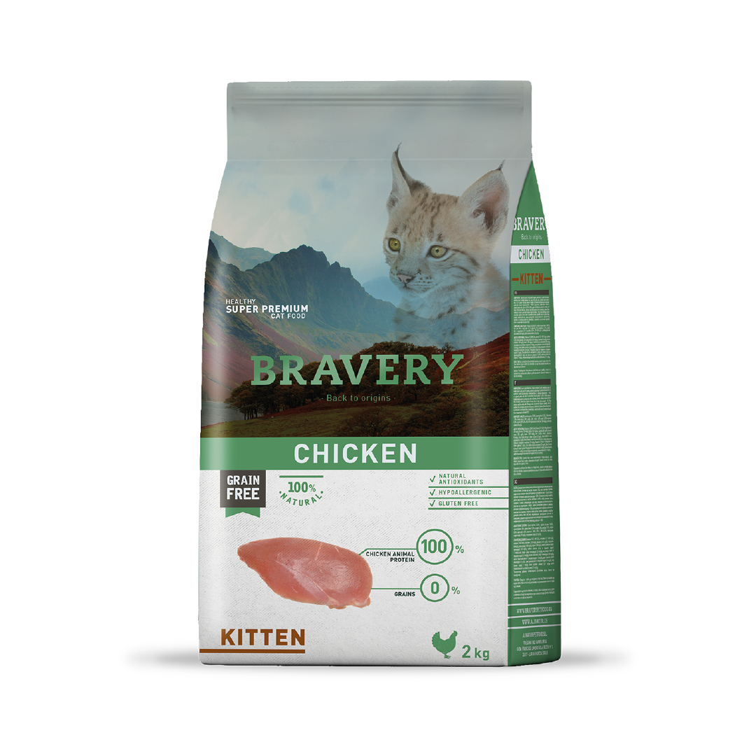 BRAVERY GATO KITTEN POLLO