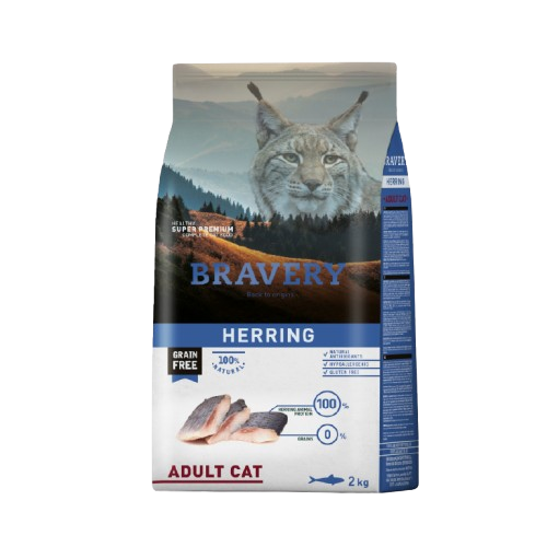 BRAVERY GATO ADULTO HERRING