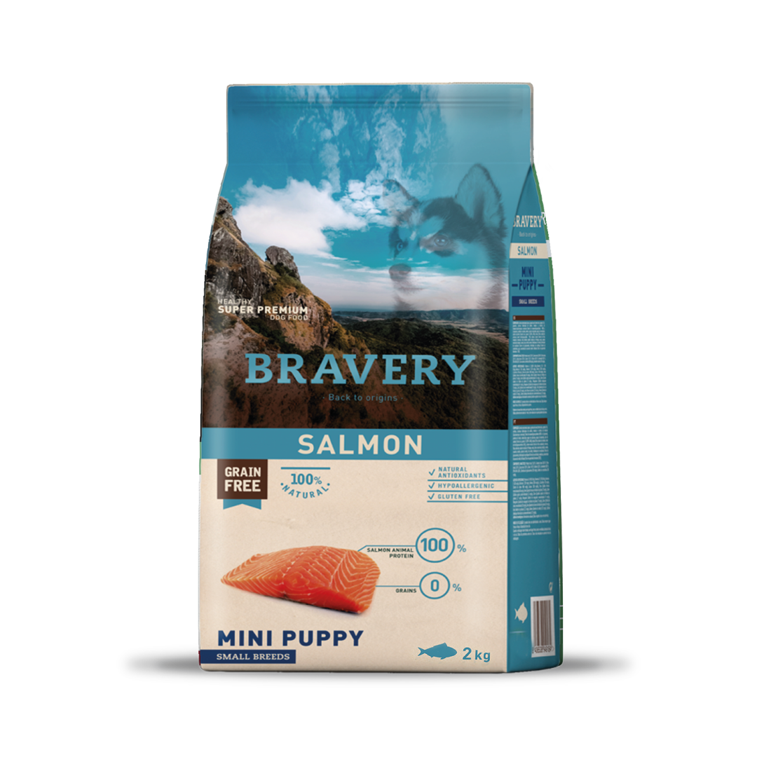 BRAVERY PERRO PUPPY RAZAS PEQUEÑAS SALMON